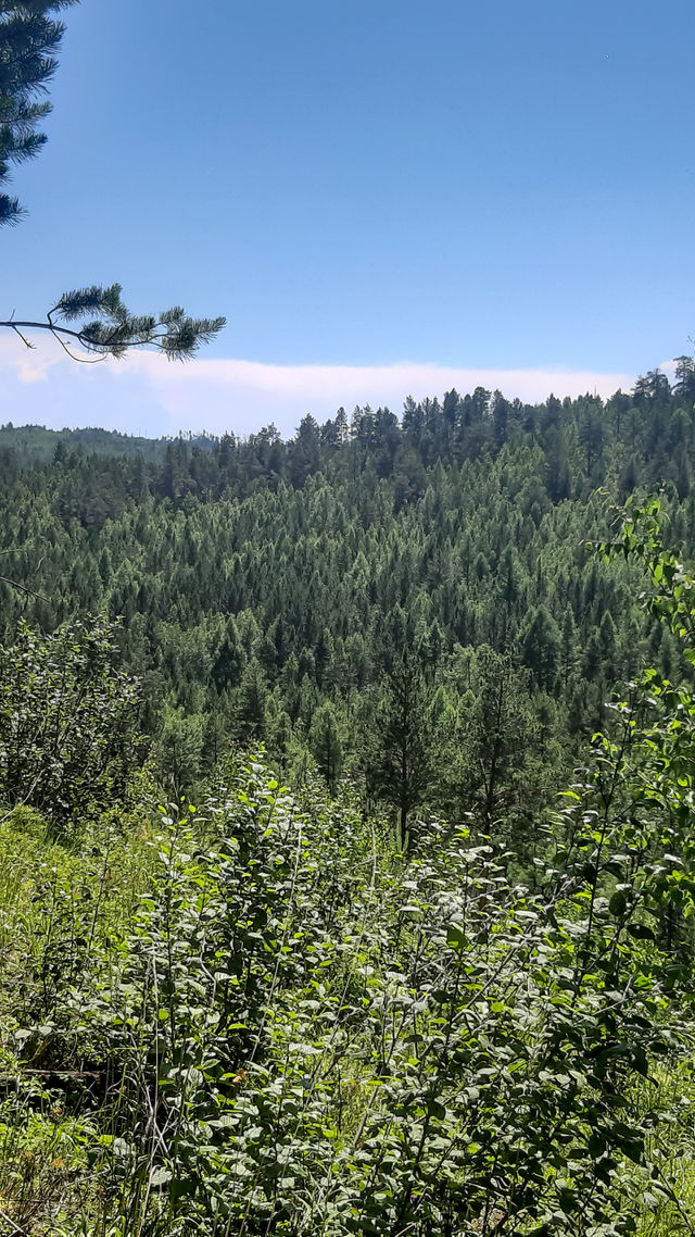 Nature