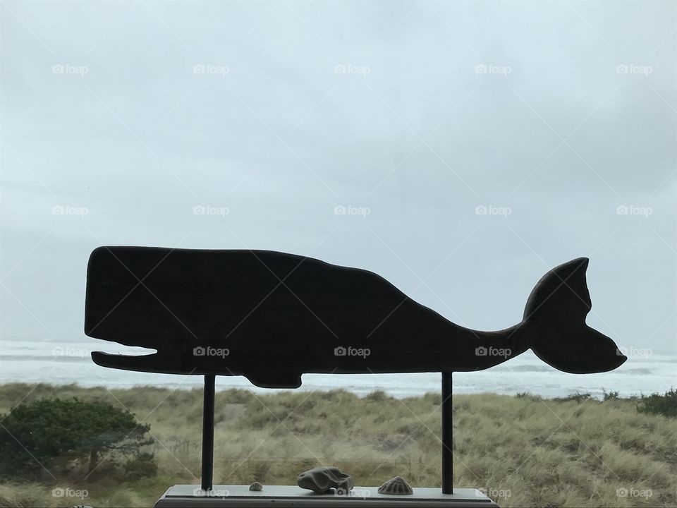 Whale decor