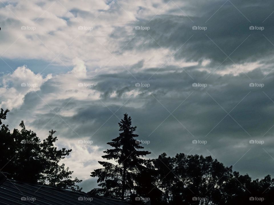 Clouds in the Sky way up High