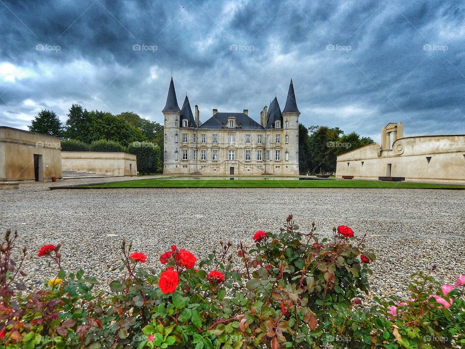 Le vignoble bordelais 