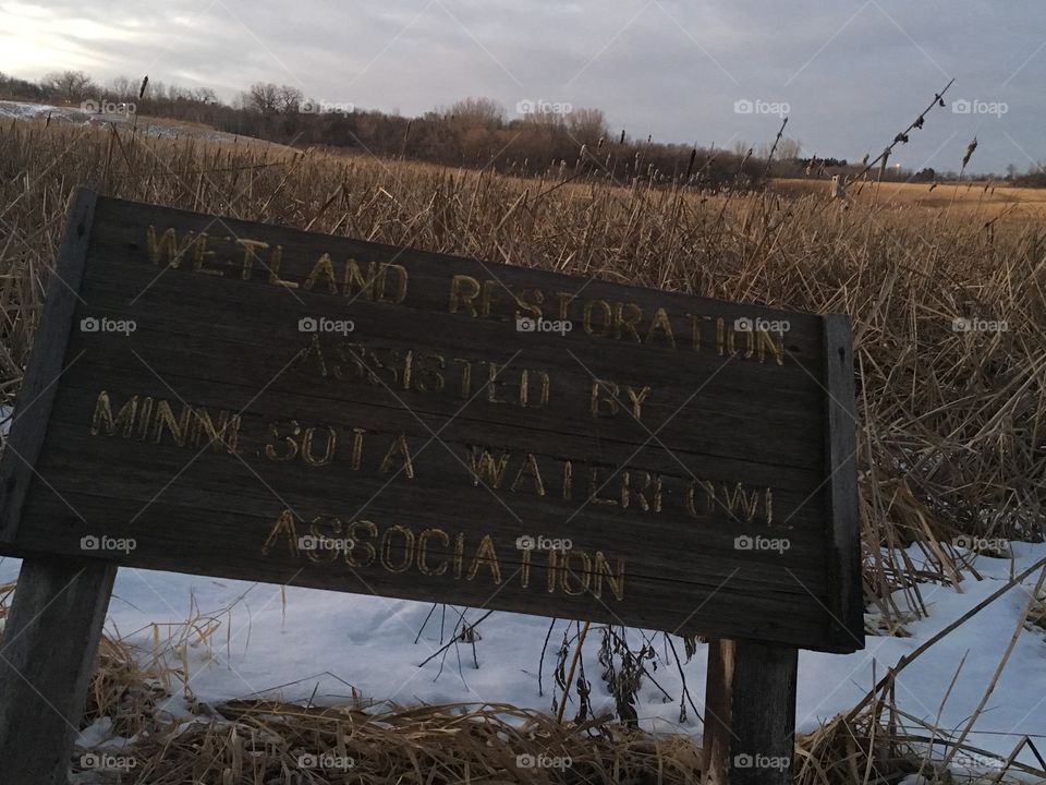 Wetland Restoration in Southern Minnesota