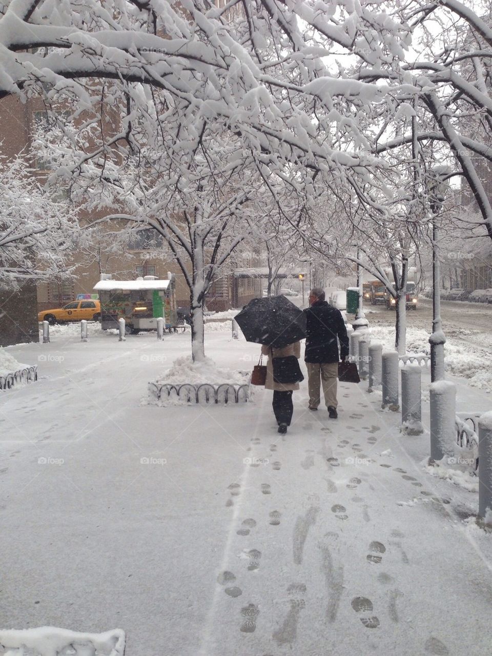 NYC Snowfall