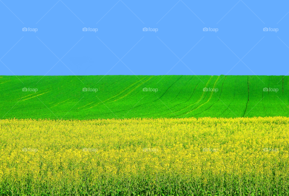 nature sky green field by dl38