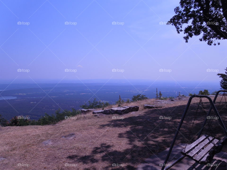 Landscape, Seashore, Tree, No Person, Water