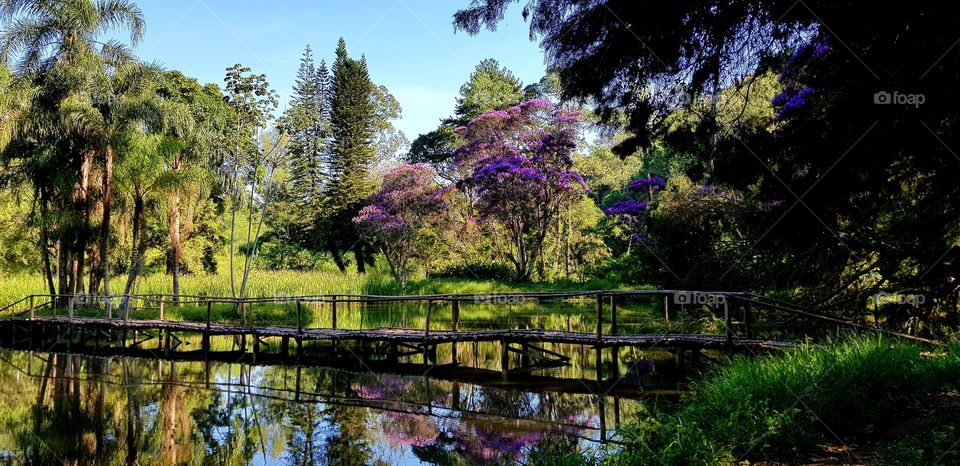 Reserva Serra do Japi - Jundiaí