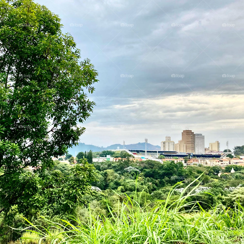 Nature so green in Bragança Paulista.  Next door, the Nabi Abi Chedid Stadium, the arena of Red Bull Bragantino. / A natureza tão verde em Bragança Paulista. Ao lado, o Estádio Nabi Abi Chedid, a arena do Red Bull Bragantino. 