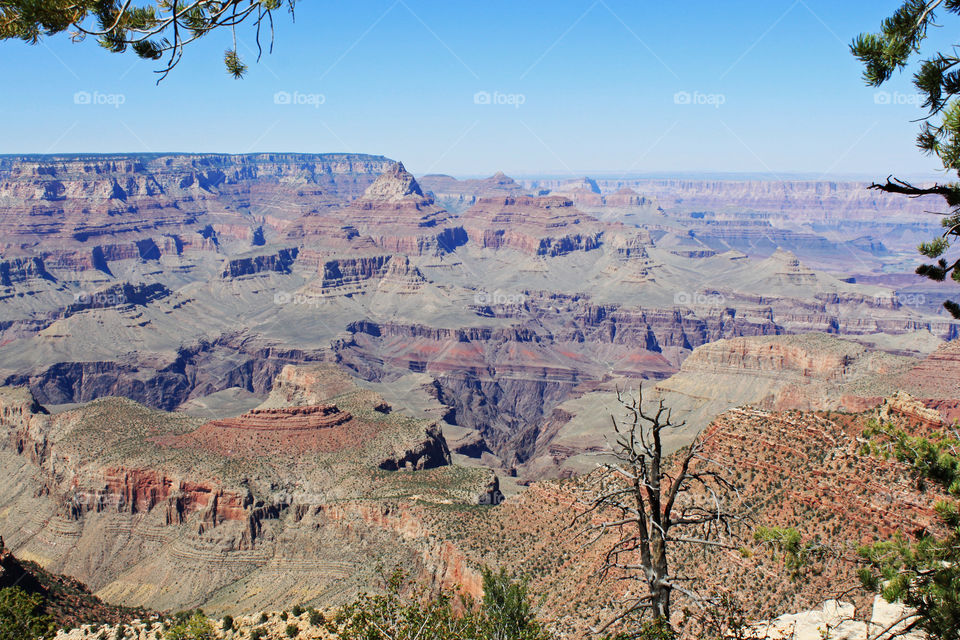 View of the Grand Canyon, Arizona