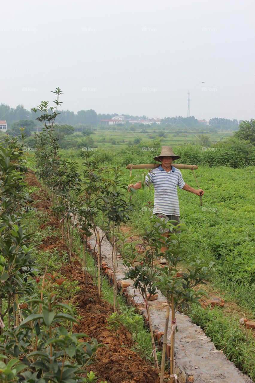 Migrant farm worker from china 