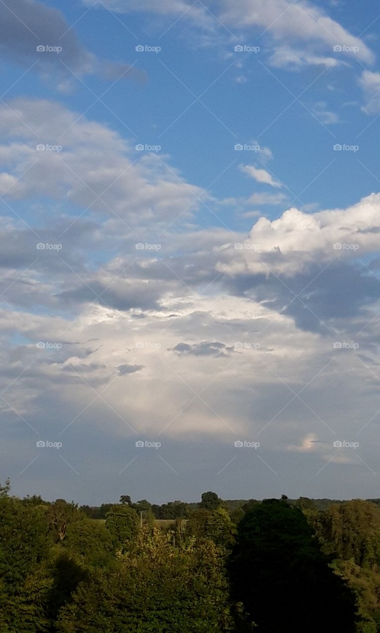 landscape in Normandy