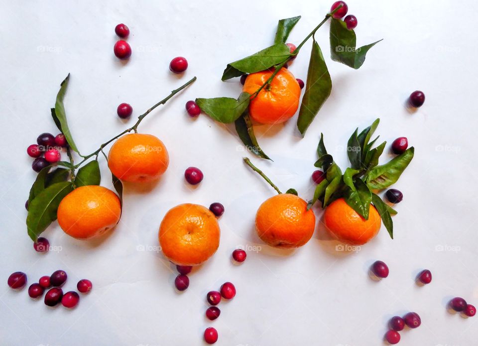 Christmas fruits on white background