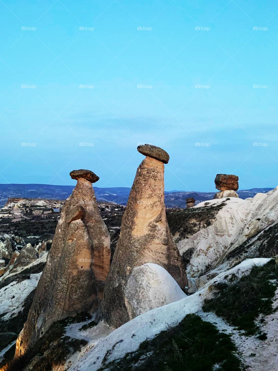 Mushrooms in Cappadocia 