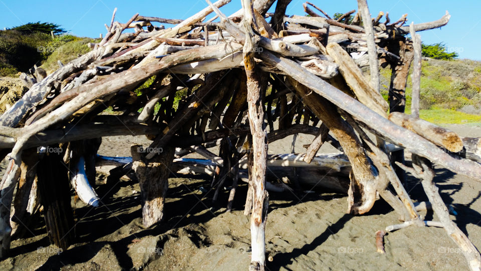 Driftwood house