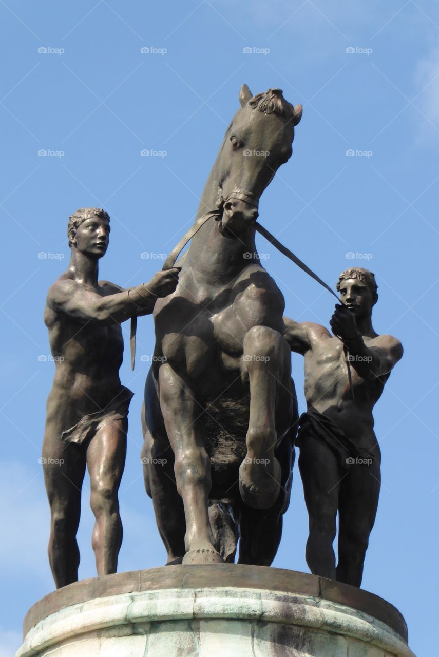 Castor&Pollux, South-African Memorial Battle of the Somme. 