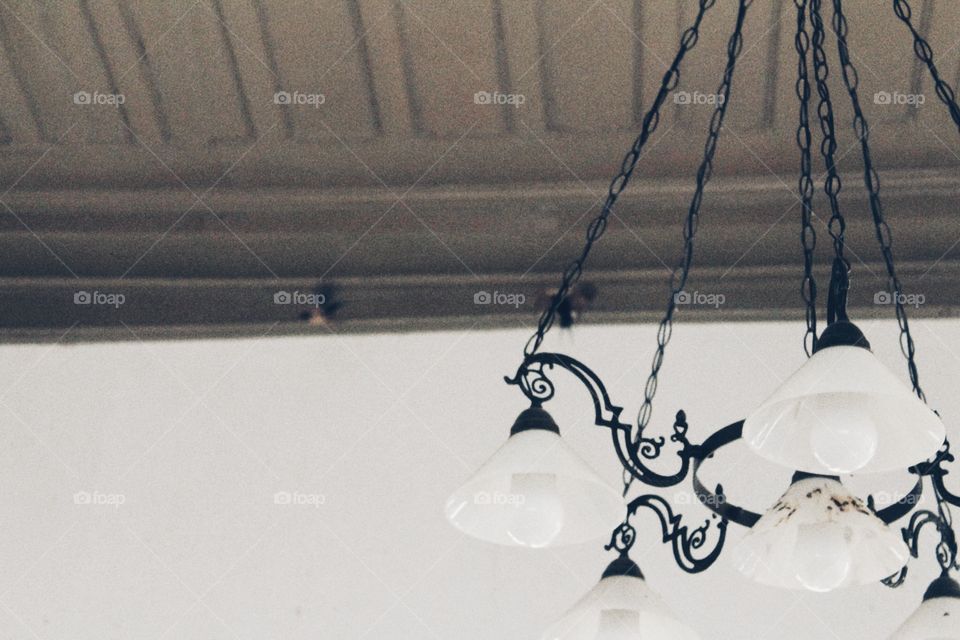 Light very nice picture and alone 