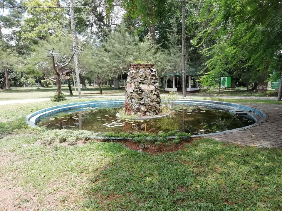 Random clicks # a pond with 🐸lol..