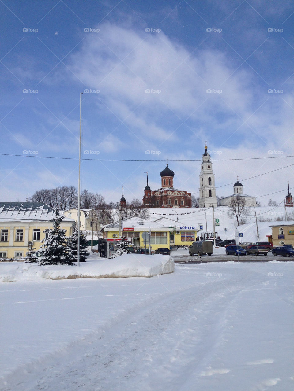 WINTER LANDSCAPE