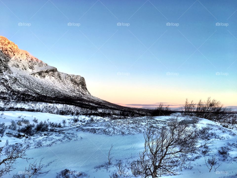 Winter in the mountain 