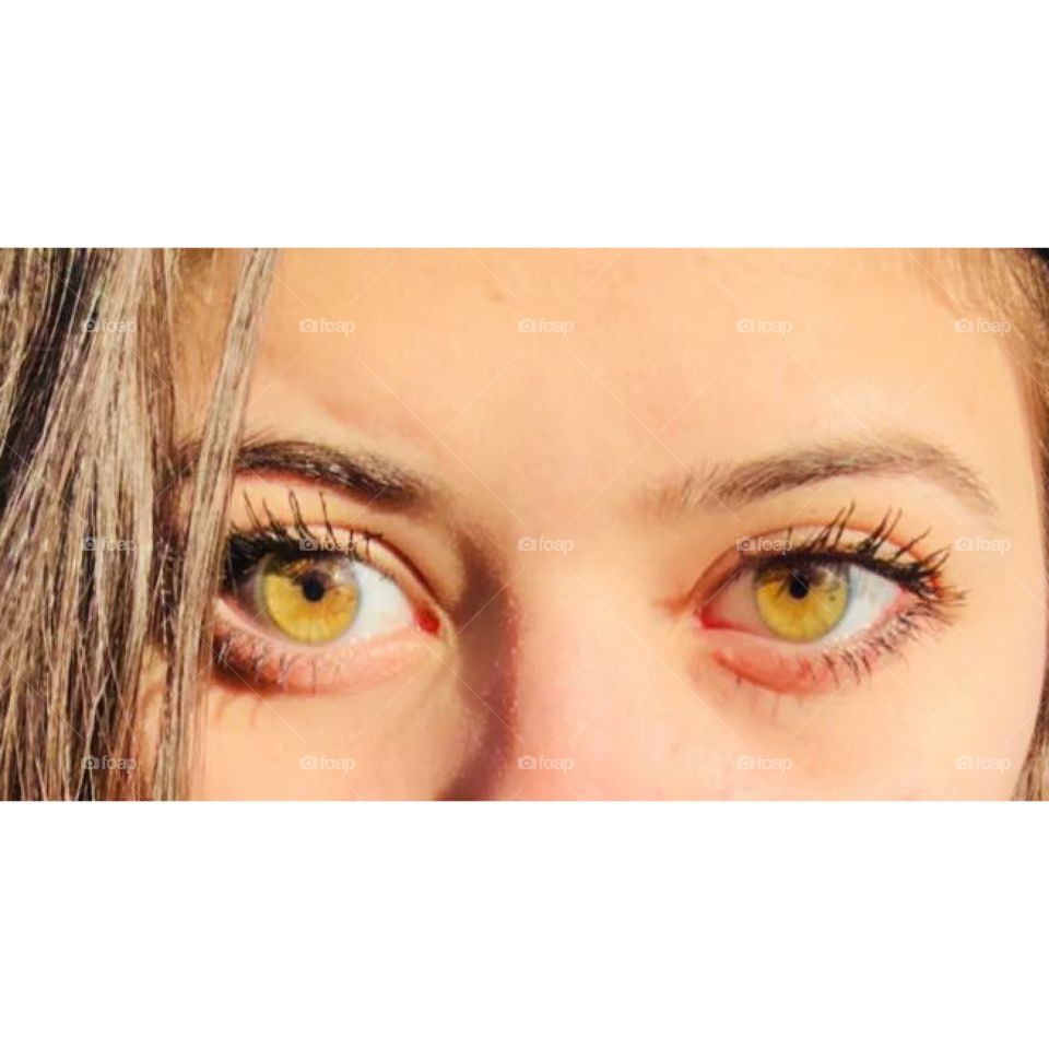 Cat eyes 🐱
