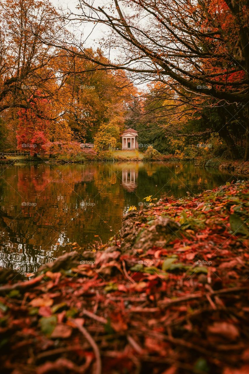 The colors of autumn