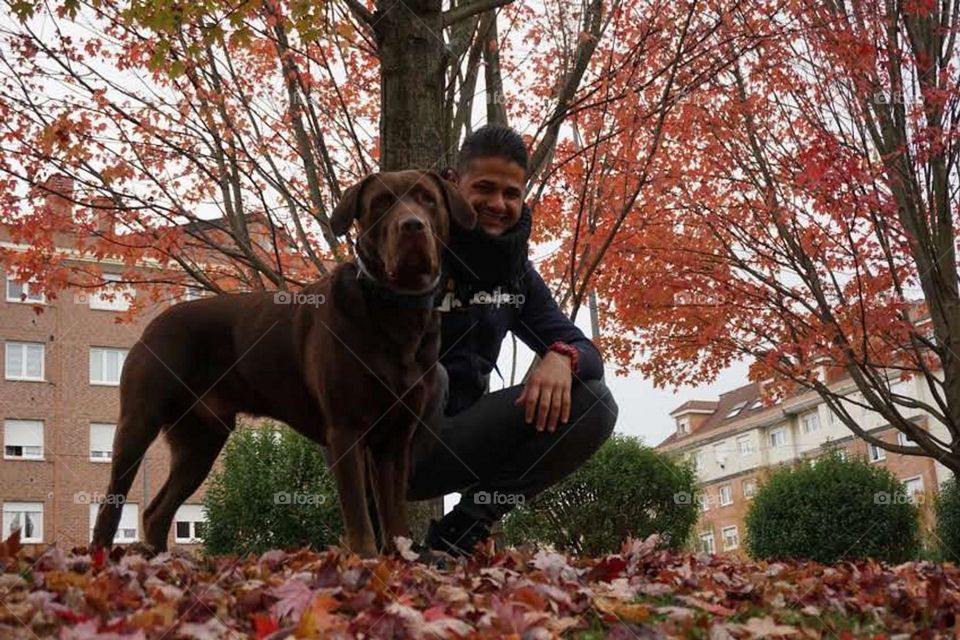 Autumn#leaves#colors#human#dog