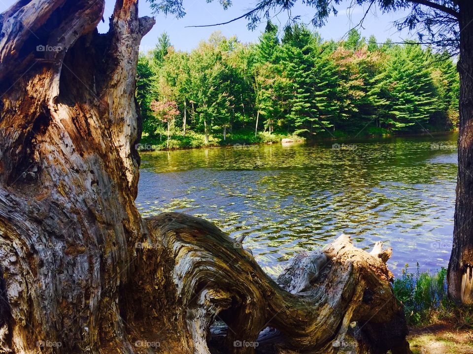 Lake. Weekend with friends 