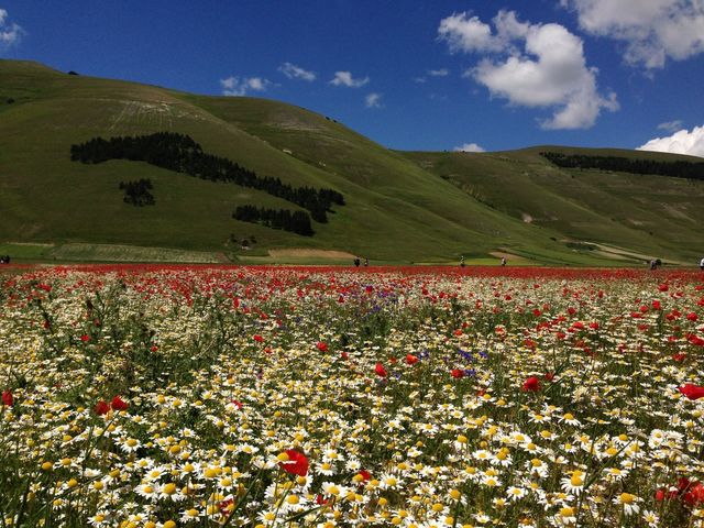 Monti sibillini