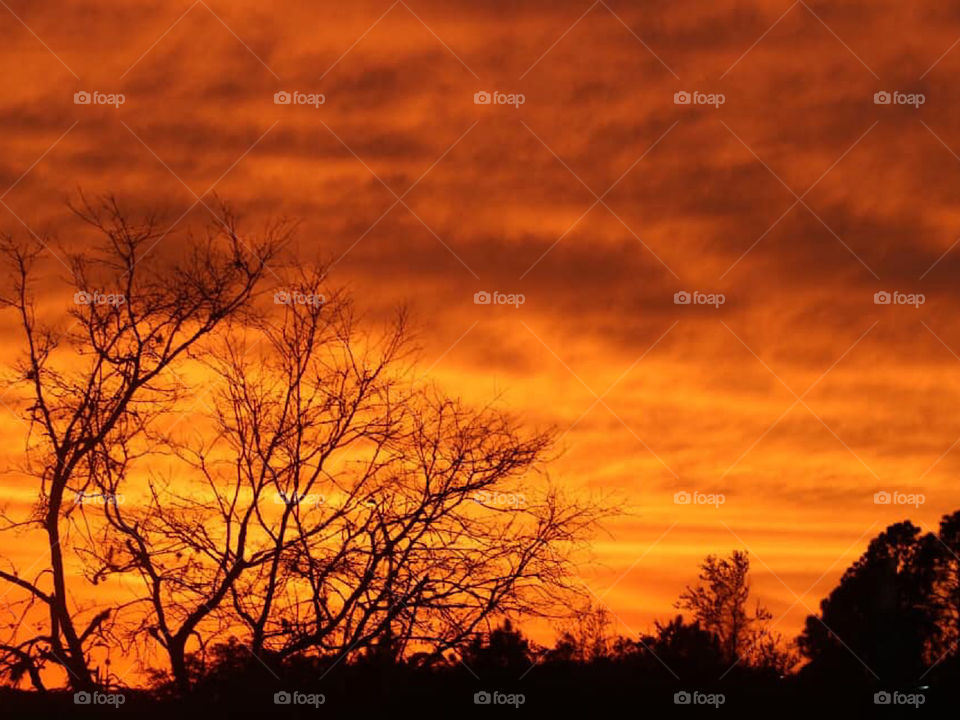 Sky on fire