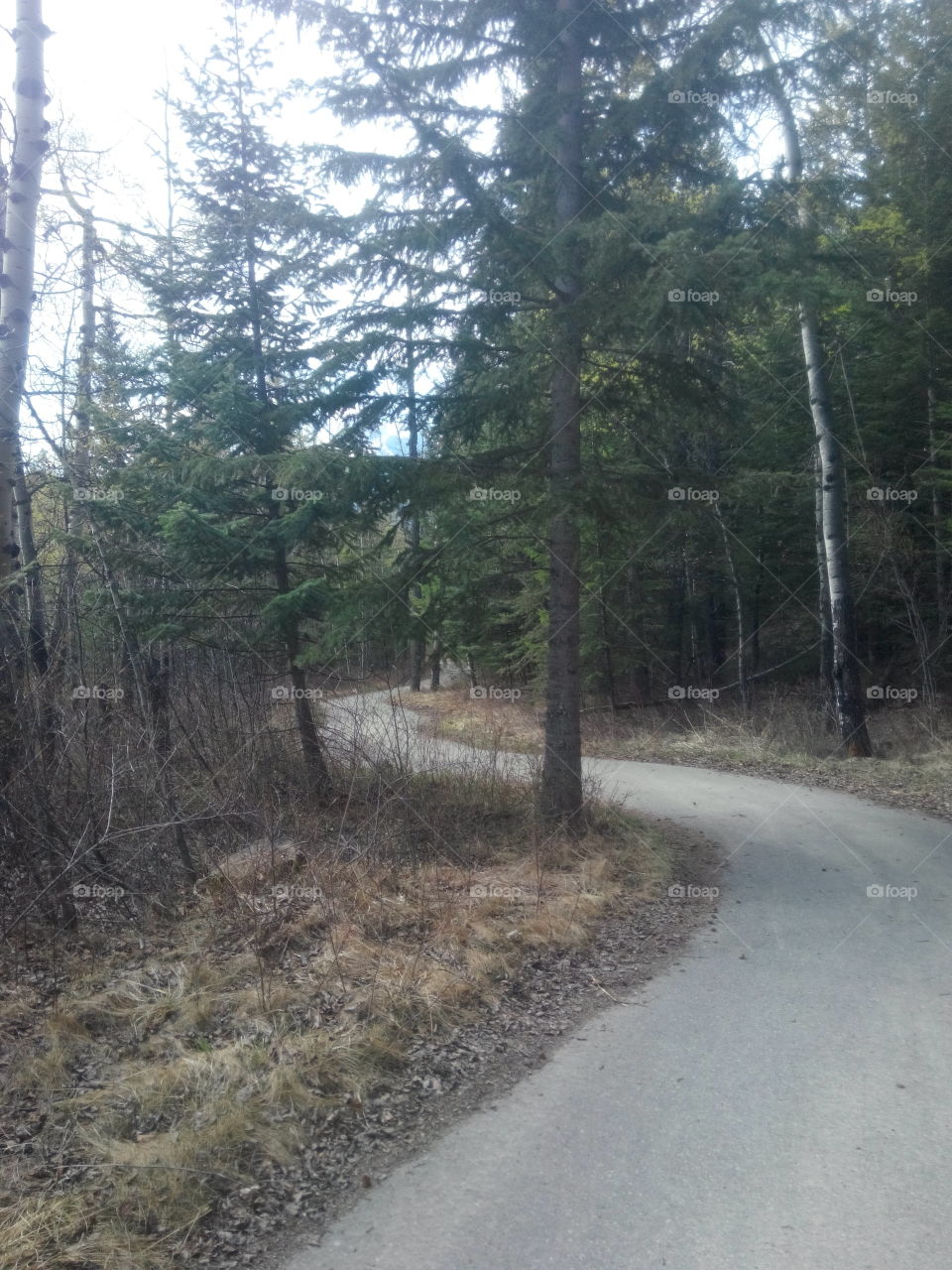 Winding path. trail down hill