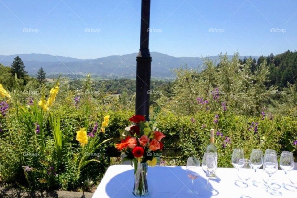 Overlooking vineyards