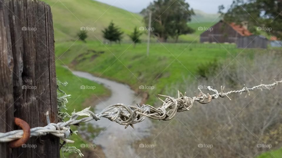 barbed wire and a creek