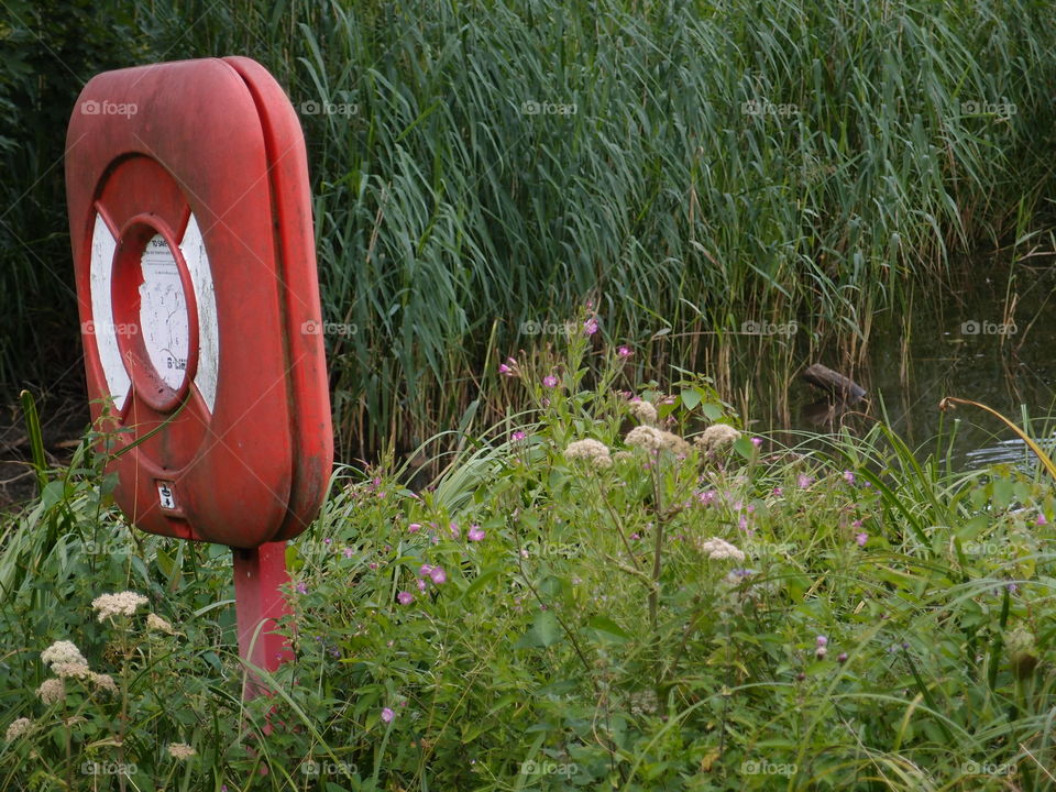 A red sign and object in the reeds on the shores of a pond. 