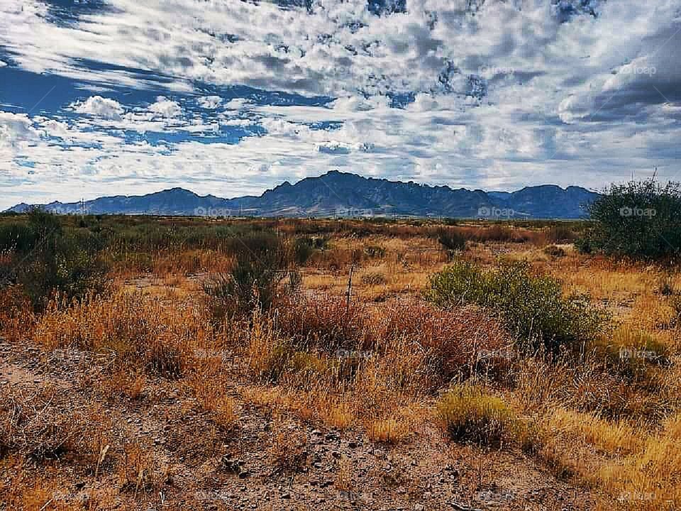 Chiricahua Mountains