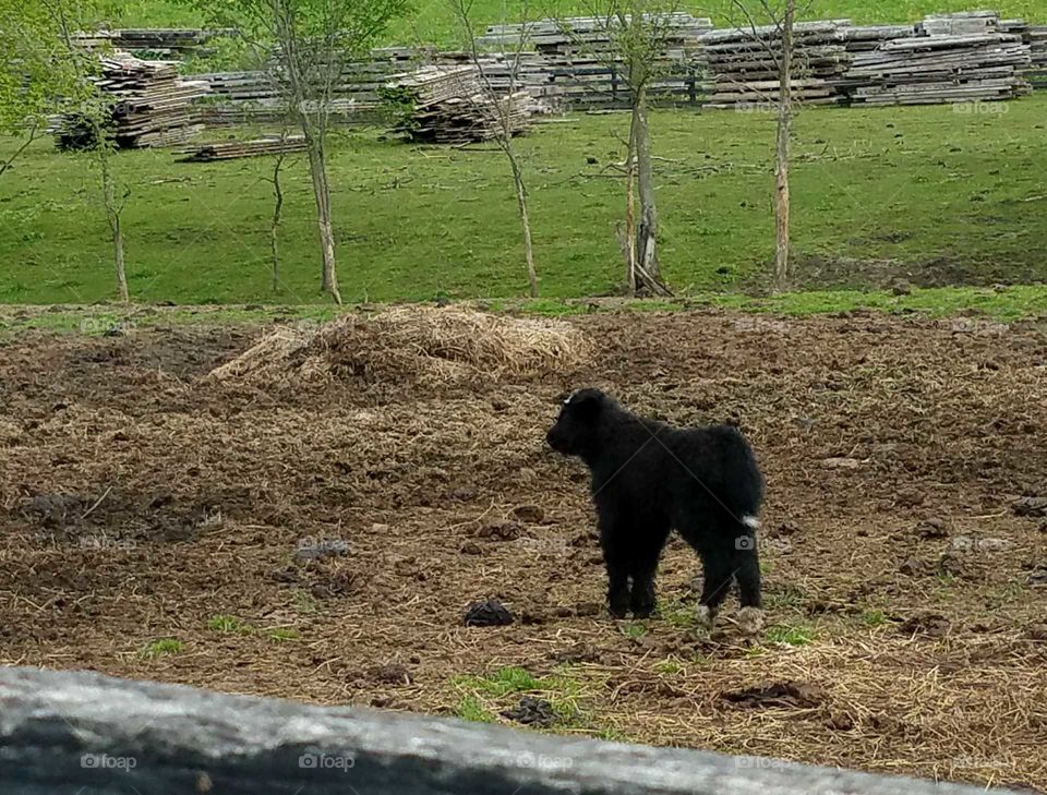 Driving the Back Roads and enjoying everything around us