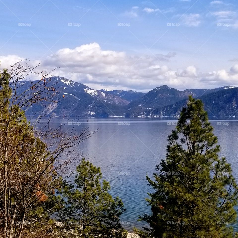 view of lake and mountain range over trees