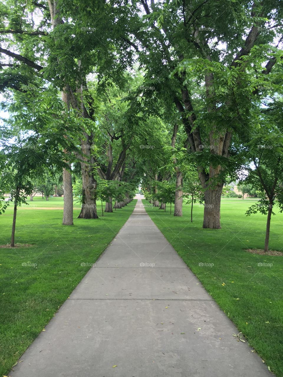 Path at Colorado State University
