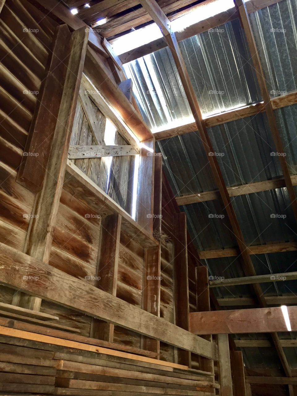 Shed Loft Door - Interior