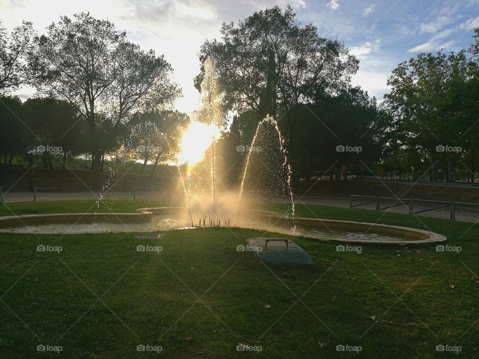 park trees water sun font