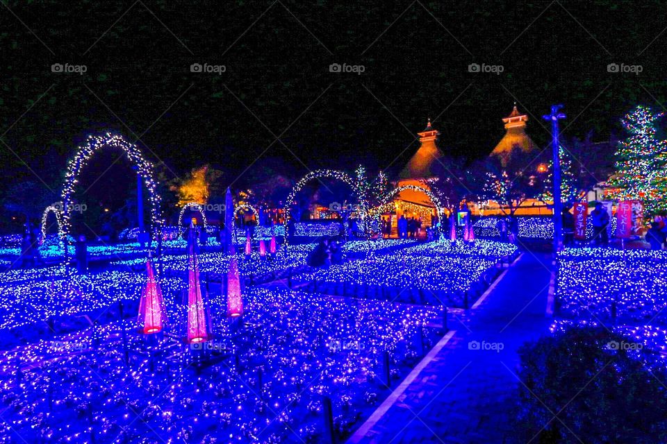 Background nature wallpaper 