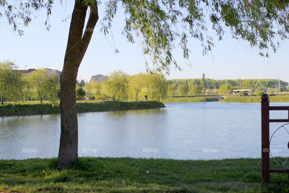 Landscape, nature, trees, tree, grass, sky, sun, water, reflection in the water", sun rays, park, people, life, life style,