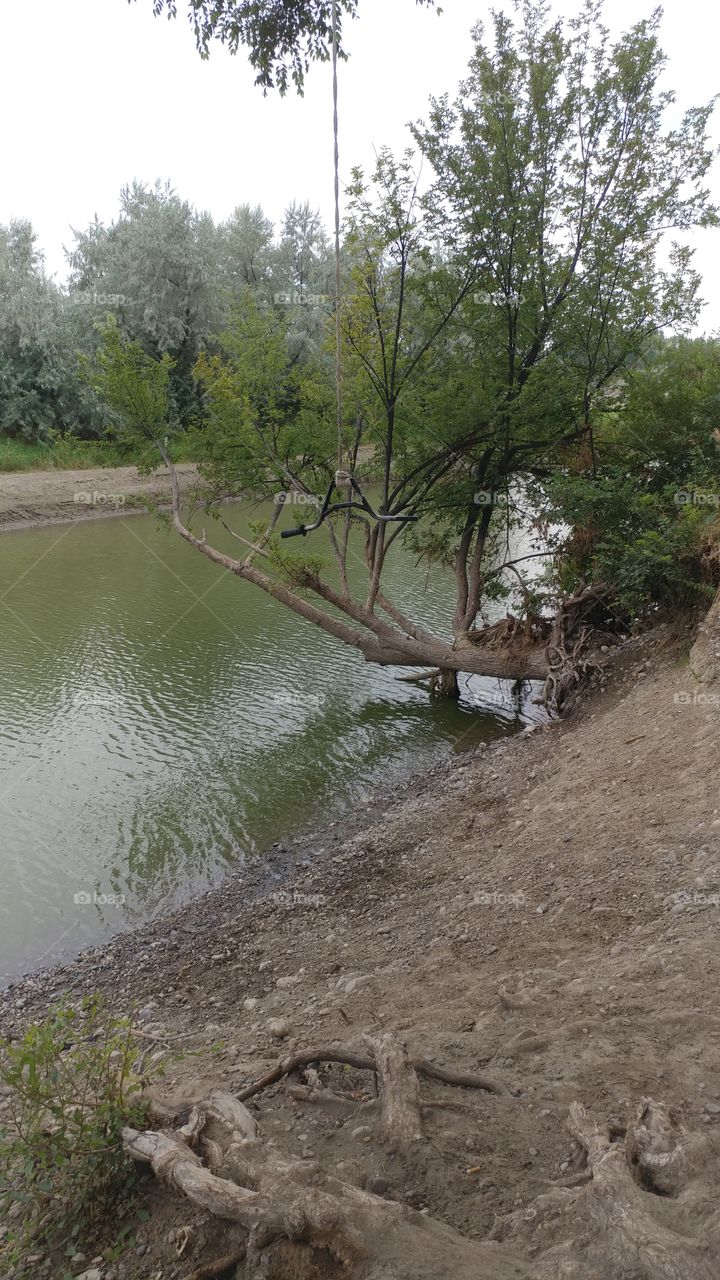 Handlebars in a tree