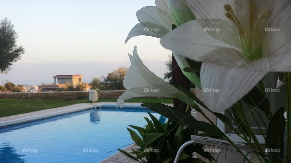 Swimming pool bliss