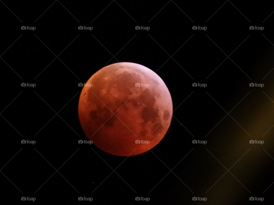 Bloodmoon in Holland