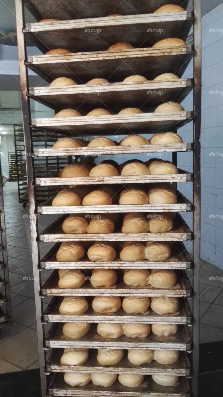 breads trays bakery 