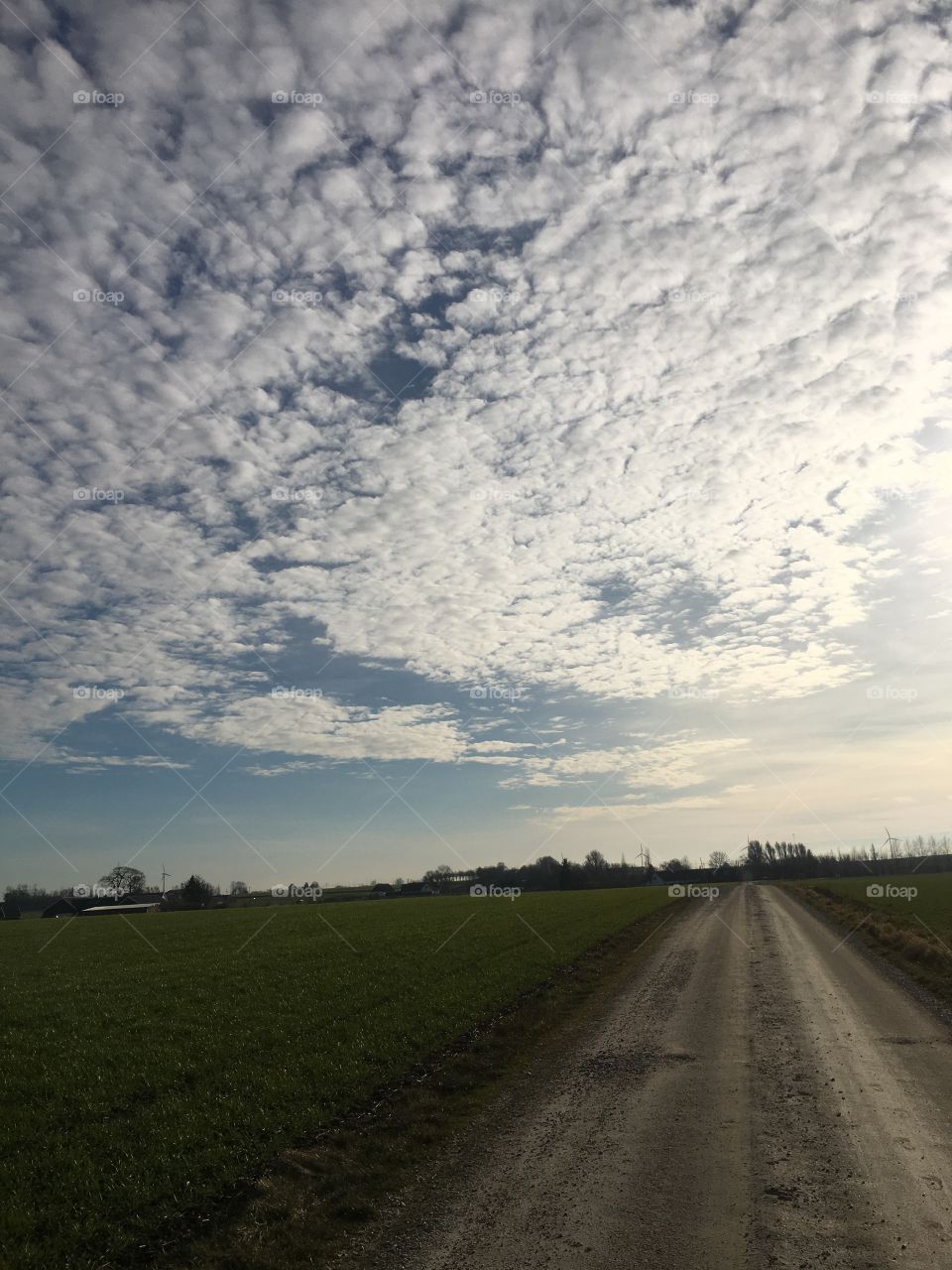 Skies and country roads 2
