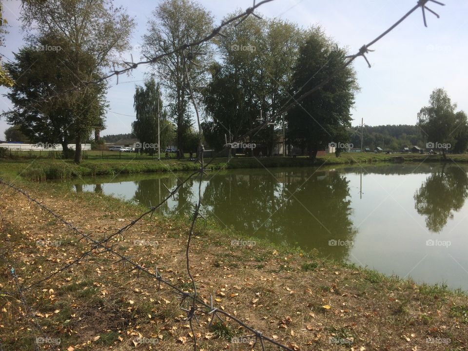 A trip to the fish farm pond (Safonovo).