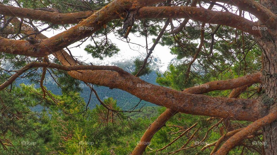 Paisaje, sierra de Madrid