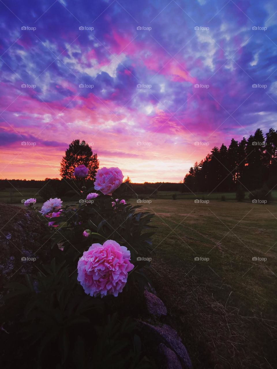 A beautiful and colorful evening in Finland.