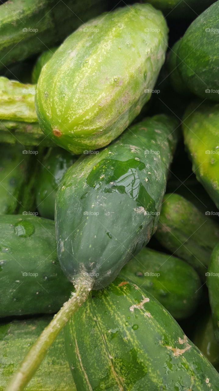 water on cucumbers
