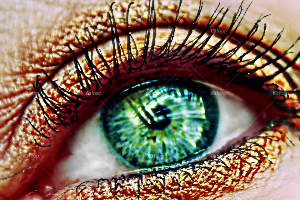 Close-Up of human eye