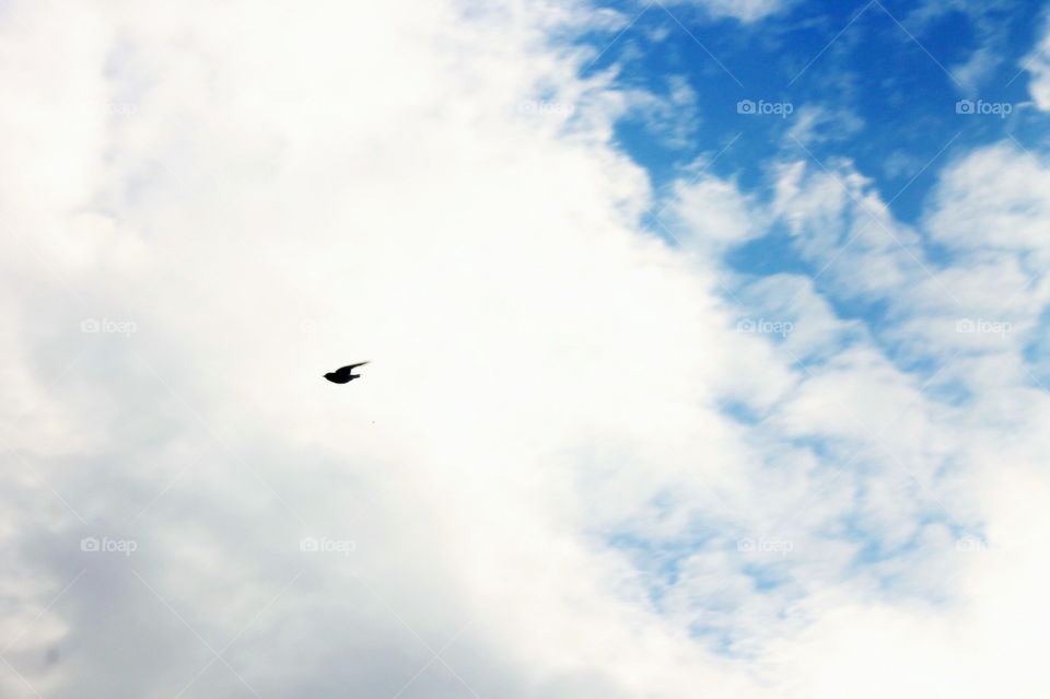 Flying alone~